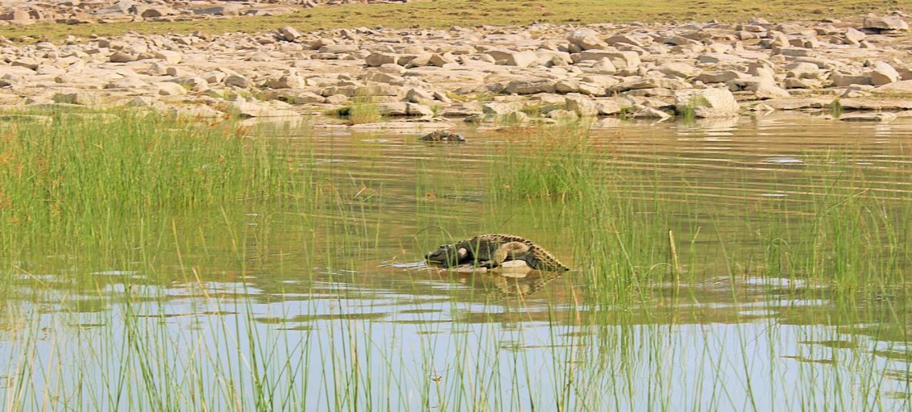 Bhadrawati - A Riverside Safari Lodge Ranthambore Exterior foto